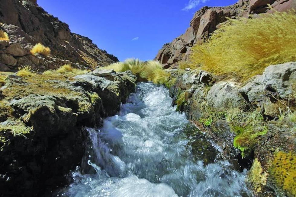 Fuente: El Potosí