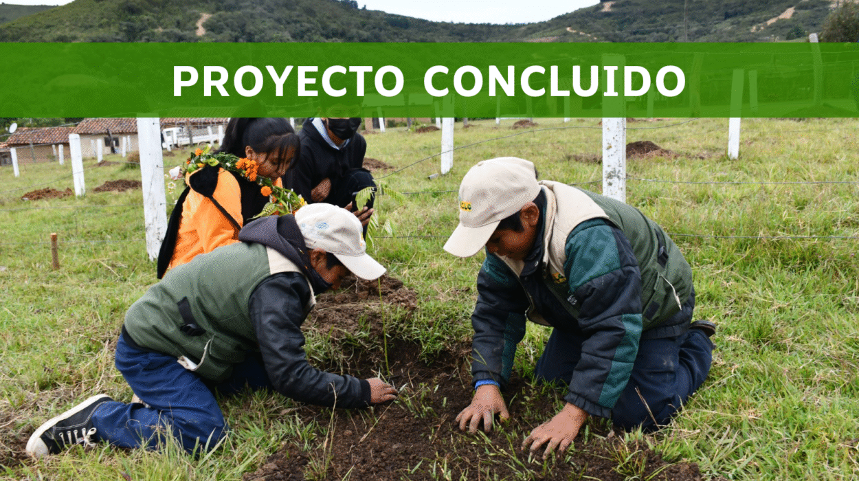 Educación integral bilingüe transformadora en 4 núcleos educativos y 17 unidades educativas de Presto – Chuquisaca
