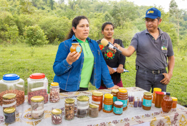 Transición Ecología Justa y defensa del medio ambiente desde LAS áreas protegidas en la región Sur de Bolivia
