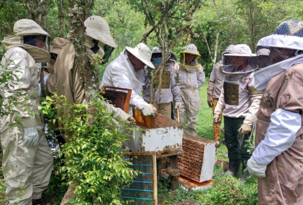 Fomentando la conservación del medio ambiente y agroecología en área protegidas de los departamentos Tarija y Chuquisaca.