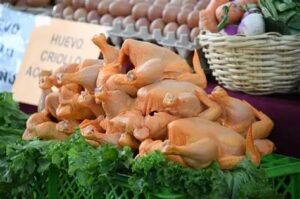 Indivisibles por el plato: la crisis del pollo probó que Bolivia funciona como un solo sistema de complementariedad